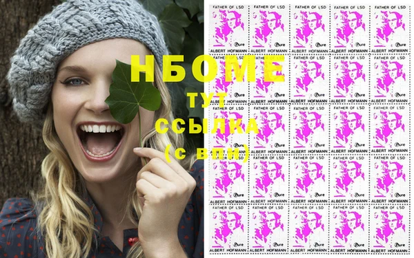 гашик Нея