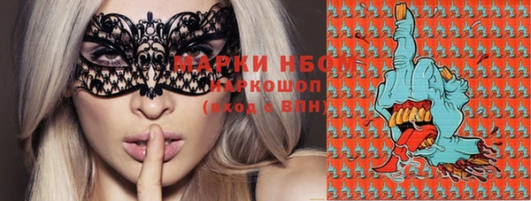 гашик Нея
