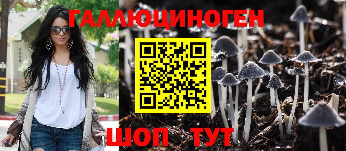 Псилоцибиновые грибы прущие грибы Балашиха