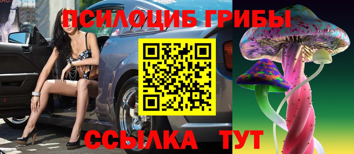 Псилоцибиновые грибы Psilocybine cubensis  Псилоцибиновые грибы Psilocybe  Балашиха 