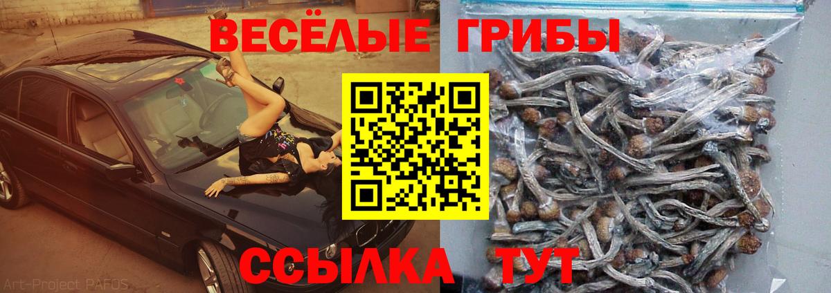 Балашиха  Псилоцибиновые грибы Magic Shrooms  где найти   Псилоцибиновые грибы мицелий  Вход с VPN 
